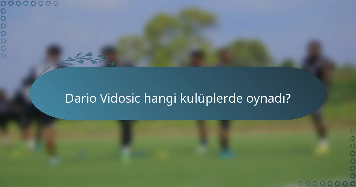 Dario Vidosic hangi kulüplerde oynadı?