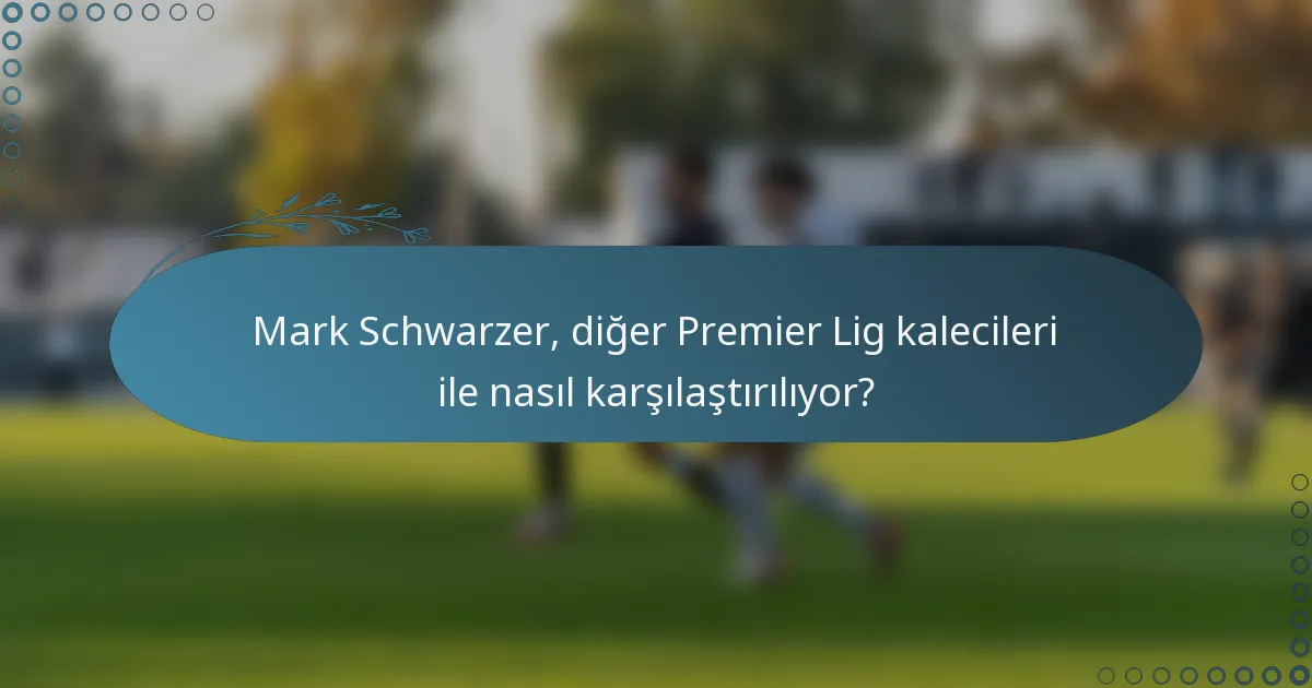 Mark Schwarzer, diğer Premier Lig kalecileri ile nasıl karşılaştırılıyor?
