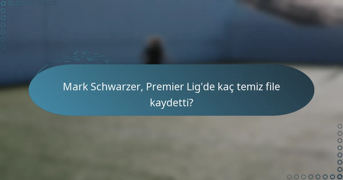 Mark Schwarzer, Premier Lig'de kaç temiz file kaydetti?
